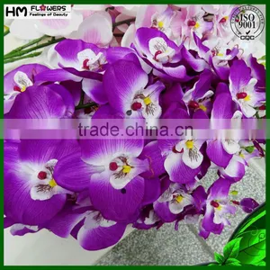 Dried Flowers Preserved Orchids Preserved Flowers thumbnail-1