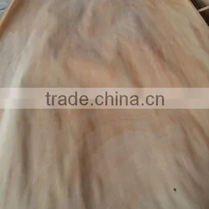 Campnosperma Veneer (MLH Veneer) thumbnail-1