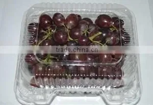 Factory Price Plastic Transparent Small Box thumbnail-1