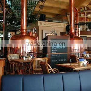 3hl Copper Beer Brewery Equipment thumbnail-1