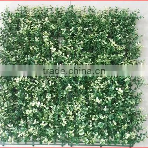2013 China Artificial Hedges Garden Fence Gardening Shrubs & Hedges Thuja thumbnail-1