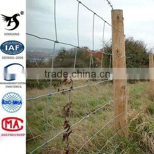 Anping Hot Sale Cheap Cattle Rail Fence thumbnail-1