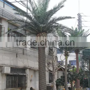 Wholesale Artifical Decorative Date Palm Tree for Garden thumbnail-5