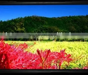 2.40:1 Fixed Frame Projection Screen / Projector Screen / Fixed Screen thumbnail-1