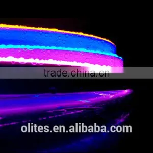 2016 New Product 8 Pixels per Meter Swimming Pool Ultra Bright Led Strip Lighting thumbnail-2