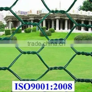 Pvc Hexagonal Green Plastic Wire Netting thumbnail-1