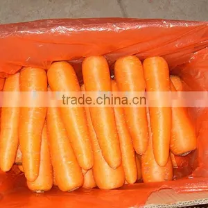 Farmland Fresh Red Carrots Supplier thumbnail-2