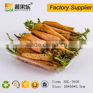 Disposable Plastic Clear Fruit Food Tray thumbnail-3