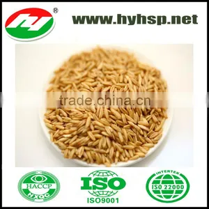 Oats thumbnail-1