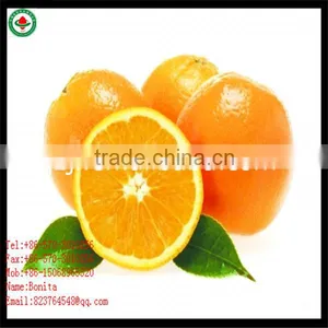 Honey Orange thumbnail-1