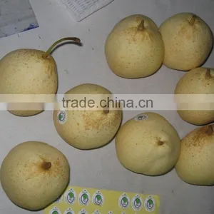 Ya Pear thumbnail-5