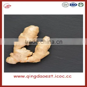 Chinese Fresh Ginger thumbnail-6