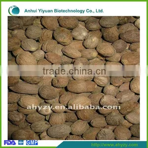 High Quality Factory Price Natural Semen Myristicae (Rou Dou Kou) thumbnail-1