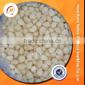 Garlic Segment In Brine thumbnail-1