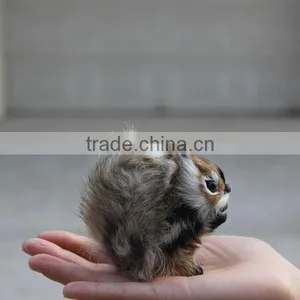6 Inch Plastic Toy Squirrel thumbnail-2