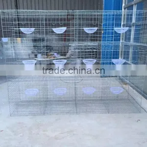 3 Layers 12 Doors Pigeon Cages for Poultry Farm thumbnail-4
