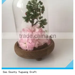 Antique Wooden View Flower Plate With Glass Bell Jars thumbnail-1