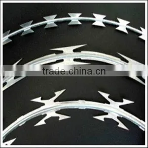 Fake Razor Wire thumbnail-1