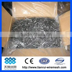 Common Wire Nail/polished Common Nail/bright Common Nail thumbnail-6