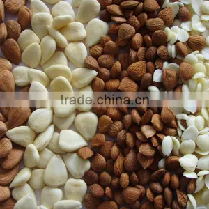 Wet Type Almonds Peeling Machine Peeler thumbnail-3