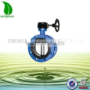 Worm Gear Actuated Flange Butterfly Valve thumbnail-1