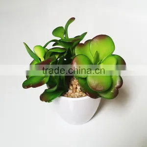 Real Touch Mini Artificial Succulent Plant Bonsai With Pot for Decor thumbnail-1