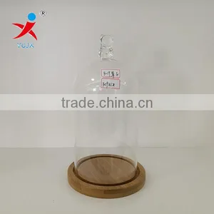 Wholesale A Bear Sticking On Dome Glass With Bamboo Bottom thumbnail-1