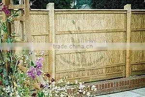 Reed Fence thumbnail-3