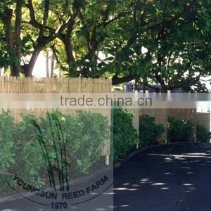 Reed Fence thumbnail-5