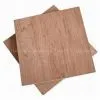 Timber thumbnail-1