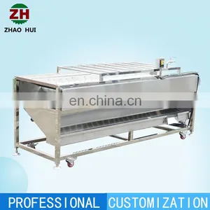 Automatic Commercial Apple Orange Lemon Tomato Vegetable Washer Strawberry Avocado Fruit Washing Machine for Sale thumbnail-6