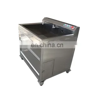 Commercial Automatic Air Bubble Fruit Washing Machine for Sale thumbnail-7