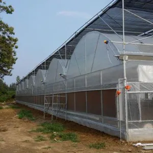 200micron Anti-UV Plastic Film Greenhouse for Agriculture thumbnail-4