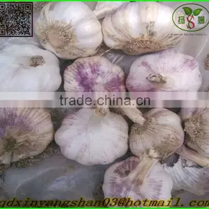White Garlic,Normal White Garlic thumbnail-1