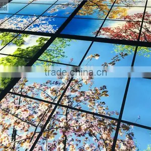 2015 Led Sky Ceiling Panel Blossom Image thumbnail-5