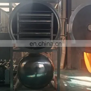 Industrial Lyophilizer Price Coffee Fruit Moisture Sublimation Machine thumbnail-5