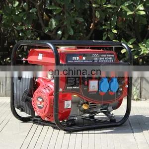 Chinese 1 Kw 1000W 1200 Watts Electric Power Gas Generators In Germany thumbnail-1