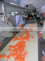 Orange Juicer Processing Line Apple Juice Sterilizing Machine thumbnail-2