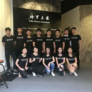 Guangzhou Haro Musical Instruments Co., Ltd. company overview - view 1 thumbnail