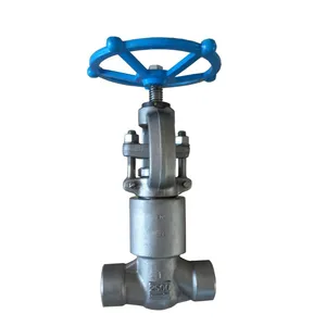Economical ANSI Forged Globe Valve Sizes 1/4