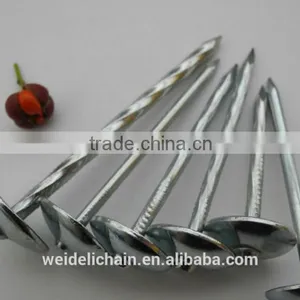 Twisted Shank Umbrella Roofing Nails thumbnail-5