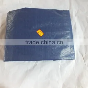 Scaffolding Cover Tarp Sliver/blue Plastic Sheet Triangle Plastic Rope Waterproof Anti-aging Antioxidant Factory Best Sell China thumbnail-1