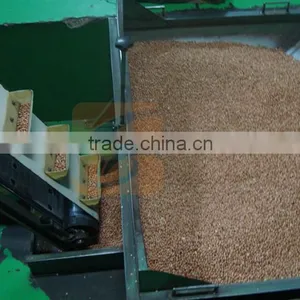 High Praised High Efficient Groundnut Shelling Sieving Processing Plant thumbnail-1