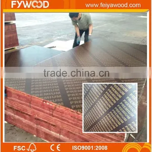 Export Maldives Film Faced Plywood thumbnail-2