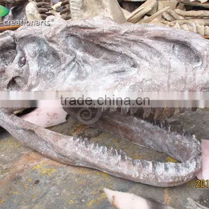 Hot Sale Fiberglass Life Size Dinosaur Skull thumbnail-2