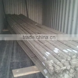 Formwork Tie Rod thumbnail-4