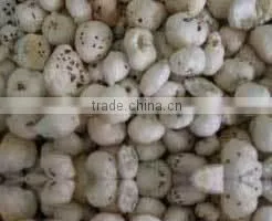 Cumin Seeds thumbnail-1