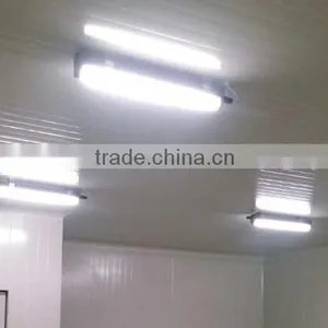 ONN-J02 LED Explosion-proof Light / Ip65 Tri-proof Tube 100-240v thumbnail-5