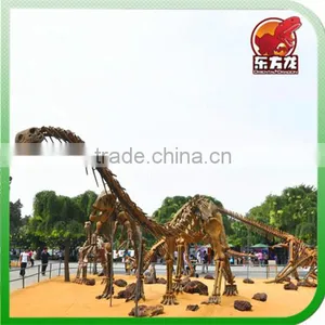 The Dinosaur Skeleton Exhibition thumbnail-1