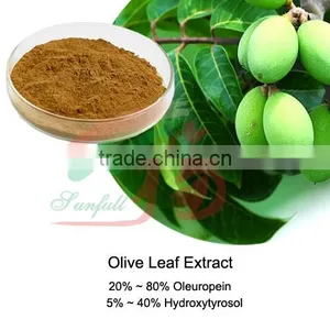 Natural Olive Leaf Extract 20% 40% Oleuropein thumbnail-1